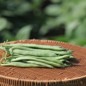 Evia bean (0919)